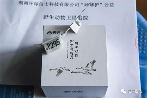 itb8888通博,湖南野生动物追踪,湖南卫星追踪器,湖南追踪器