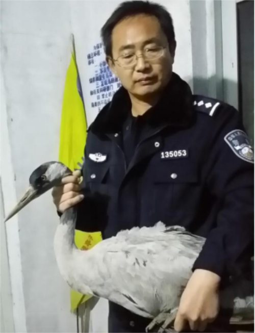 itb8888通博,湖南野生动物追踪,湖南卫星追踪器,湖南追踪器