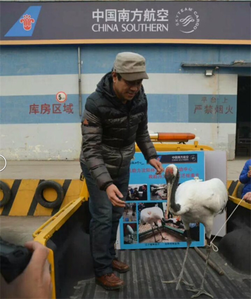 itb8888通博,湖南野生动物追踪,湖南卫星追踪器,湖南追踪器