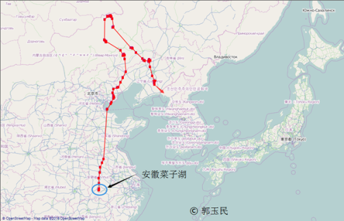 itb8888通博,湖南野生动物追踪,湖南卫星追踪器,湖南追踪器