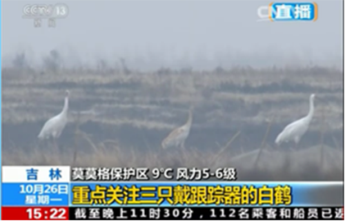itb8888通博,湖南野生动物追踪,湖南卫星追踪器,湖南追踪器