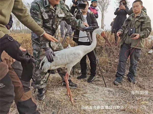 itb8888通博,湖南野生动物追踪,湖南卫星追踪器,湖南追踪器
