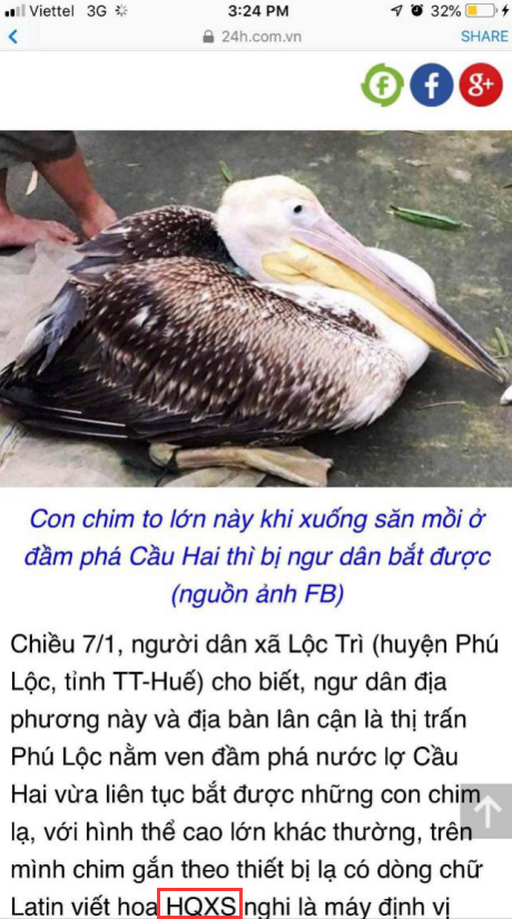 itb8888通博,湖南野生动物追踪,湖南卫星追踪器,湖南追踪器
