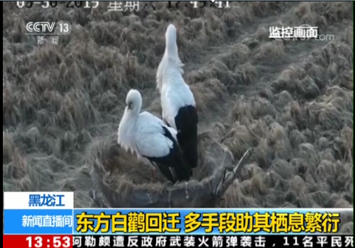 itb8888通博,湖南野生动物追踪,湖南卫星追踪器,湖南追踪器