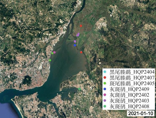 itb8888通博,湖南野生动物追踪,湖南卫星追踪器,湖南追踪器