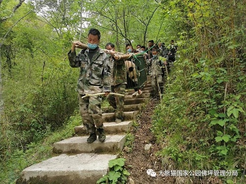 itb8888通博,湖南野生动物追踪,湖南卫星追踪器,湖南追踪器