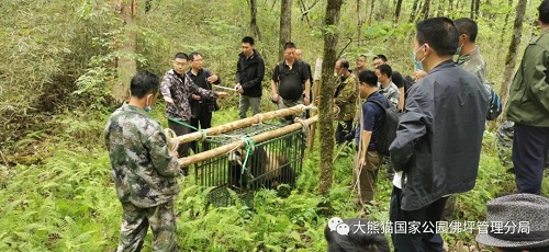 itb8888通博,湖南野生动物追踪,湖南卫星追踪器,湖南追踪器