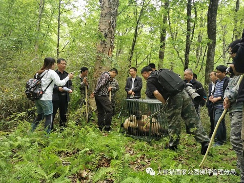 itb8888通博,湖南野生动物追踪,湖南卫星追踪器,湖南追踪器
