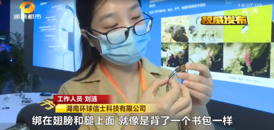 itb8888通博,湖南野生动物追踪,湖南卫星追踪器,湖南追踪器