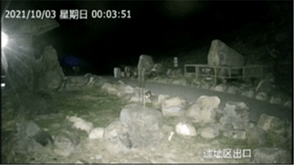 itb8888通博,湖南野生动物追踪,湖南卫星追踪器,湖南追踪器