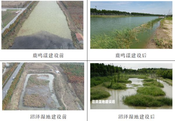itb8888通博,湖南野生动物追踪,湖南卫星追踪器,湖南追踪器