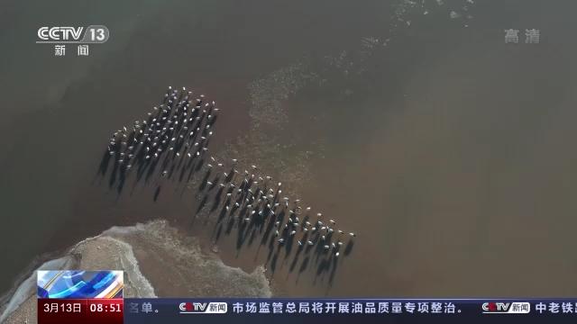itb8888通博,湖南野生动物追踪,湖南卫星追踪器,湖南追踪器