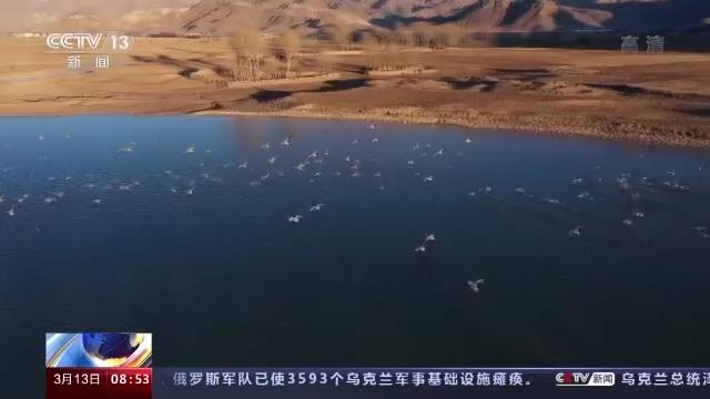 itb8888通博,湖南野生动物追踪,湖南卫星追踪器,湖南追踪器