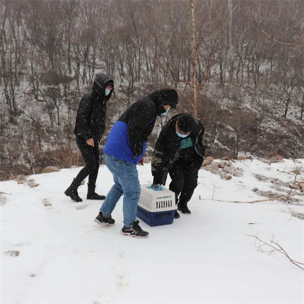 itb8888通博,湖南野生动物追踪,湖南卫星追踪器,湖南追踪器
