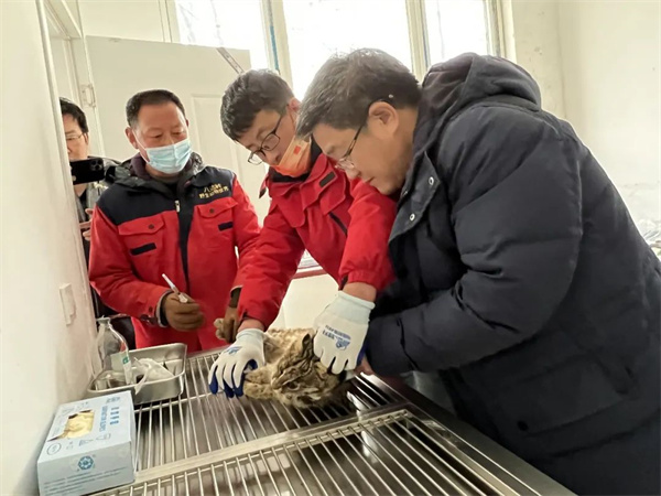 itb8888通博,湖南野生动物追踪,湖南卫星追踪器,湖南追踪器