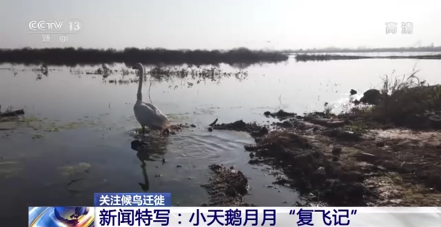 itb8888通博,湖南野生动物追踪,湖南卫星追踪器,湖南追踪器