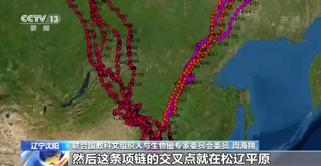itb8888通博,湖南野生动物追踪,湖南卫星追踪器,湖南追踪器