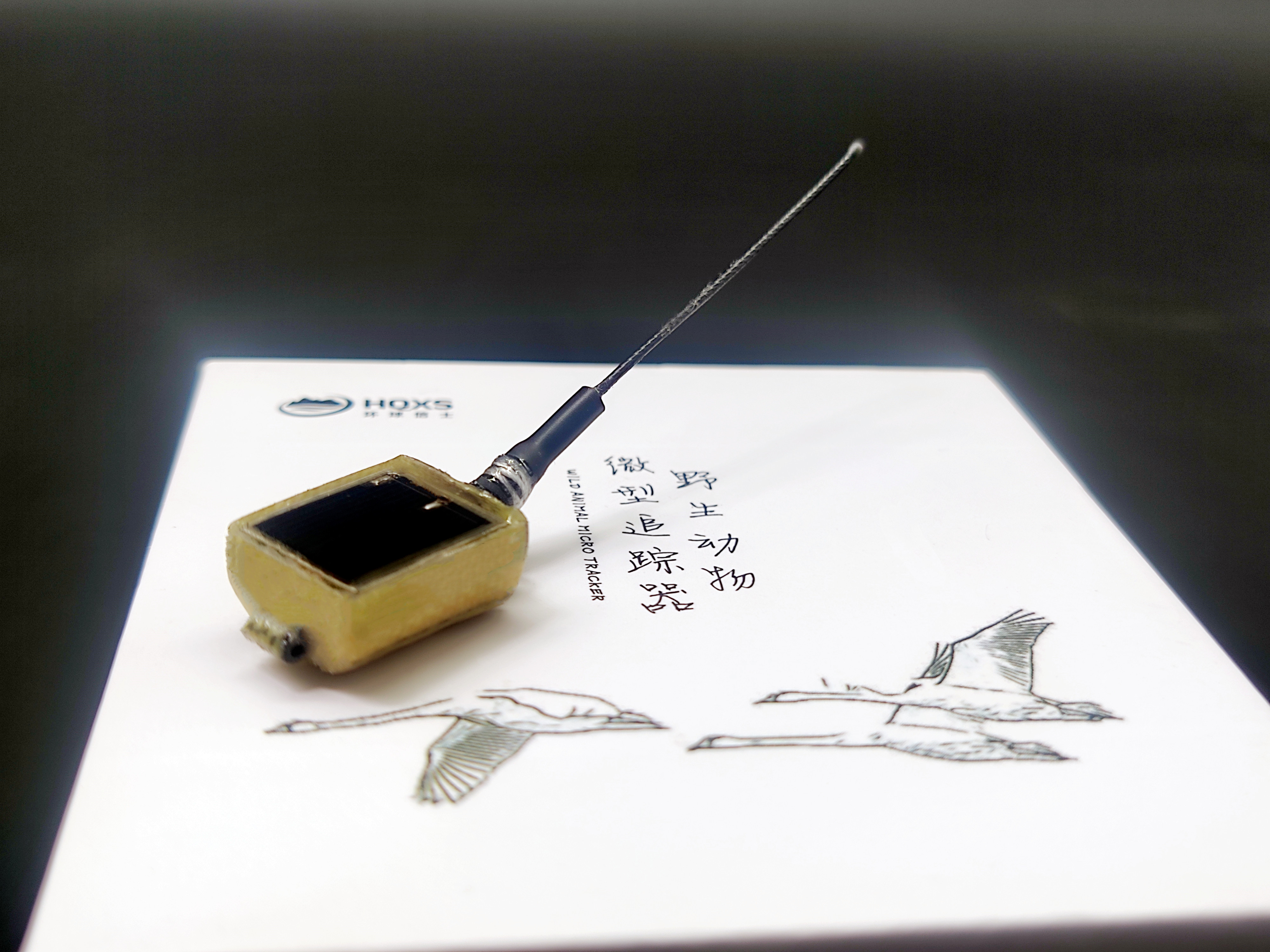 itb8888通博,湖南野生动物追踪,湖南卫星追踪器,湖南追踪器