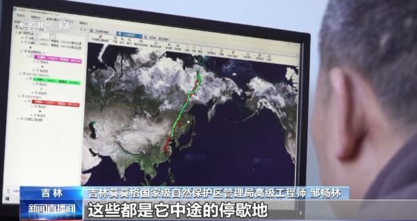 itb8888通博,湖南野生动物追踪,湖南卫星追踪器,湖南追踪器