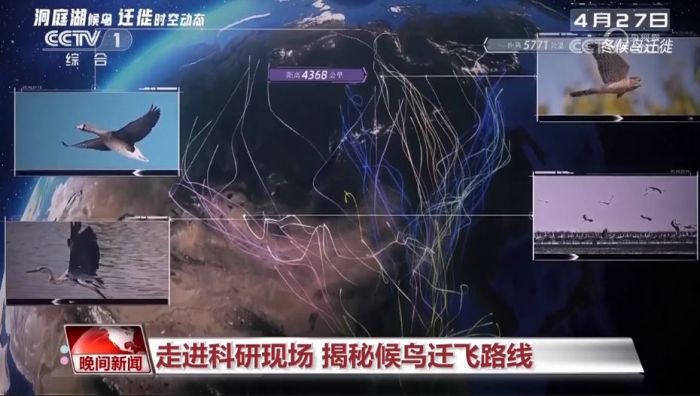 itb8888通博,湖南野生动物追踪,湖南卫星追踪器,湖南追踪器