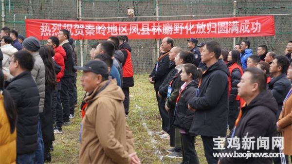 itb8888通博,湖南野生动物追踪,湖南卫星追踪器,湖南追踪器