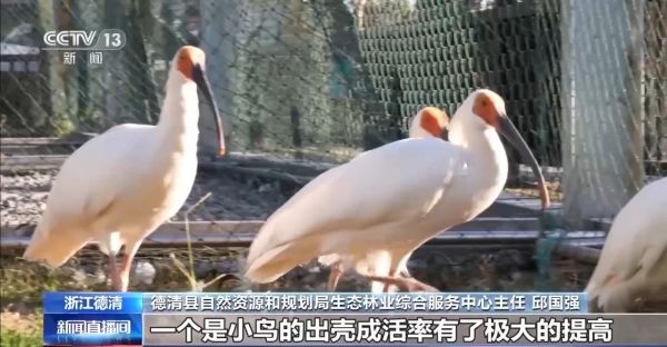 itb8888通博,湖南野生动物追踪,湖南卫星追踪器,湖南追踪器
