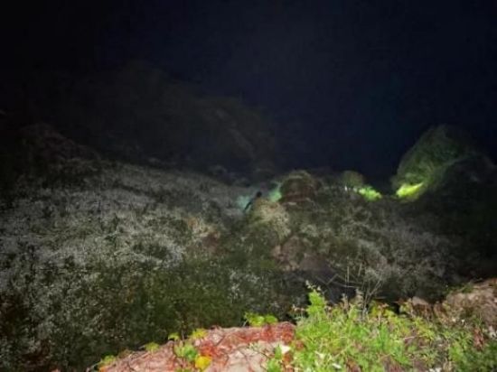 itb8888通博,湖南野生动物追踪,湖南卫星追踪器,湖南追踪器