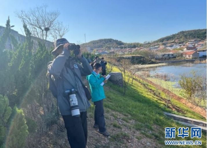 itb8888通博,湖南野生动物追踪,湖南卫星追踪器,湖南追踪器