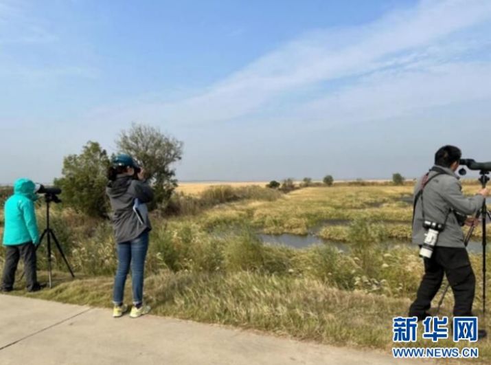 itb8888通博,湖南野生动物追踪,湖南卫星追踪器,湖南追踪器
