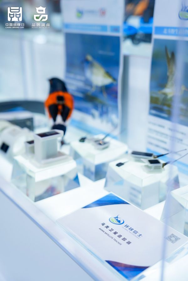 itb8888通博,湖南野生动物追踪,湖南卫星追踪器,湖南追踪器