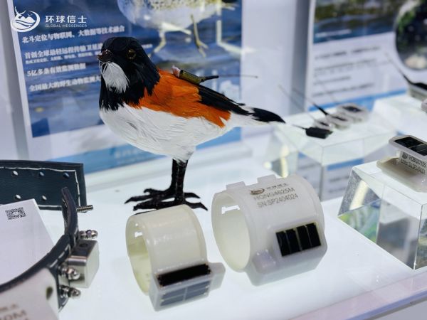itb8888通博,湖南野生动物追踪,湖南卫星追踪器,湖南追踪器