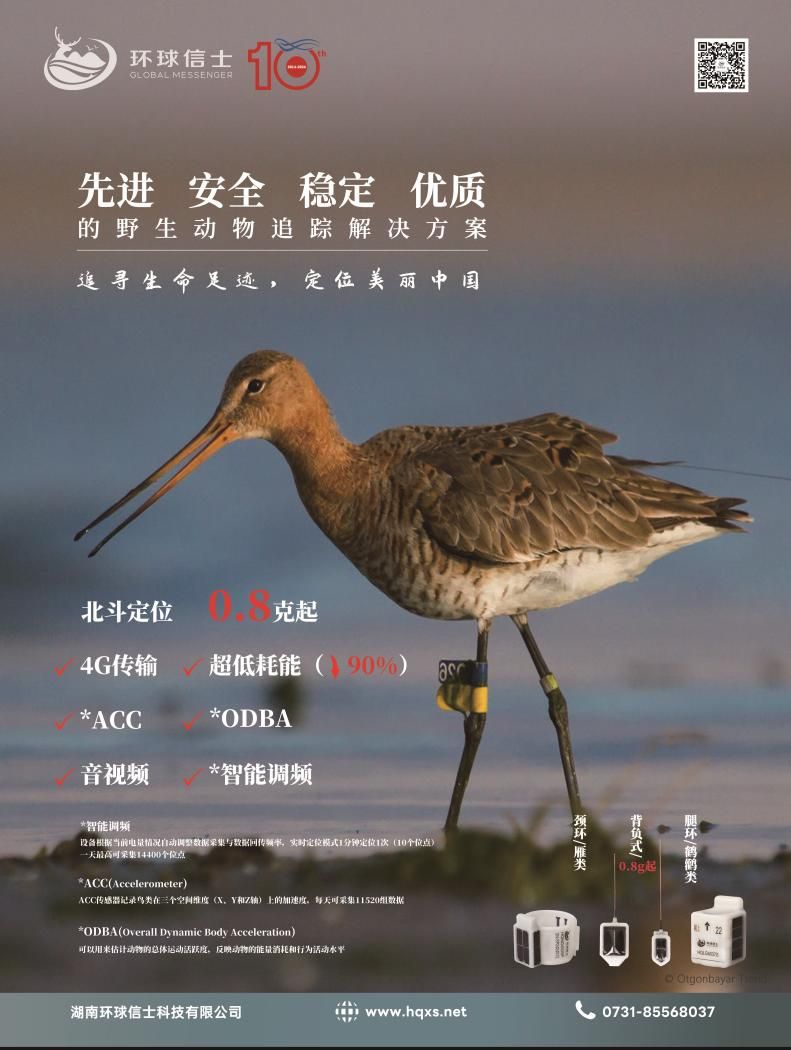 itb8888通博,湖南野生动物追踪,湖南卫星追踪器,湖南追踪器