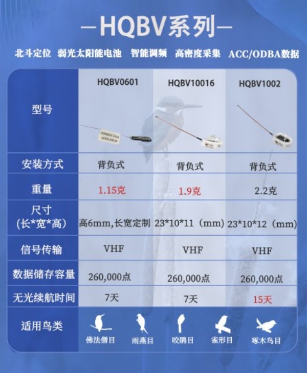 itb8888通博,湖南野生动物追踪,湖南卫星追踪器,湖南追踪器